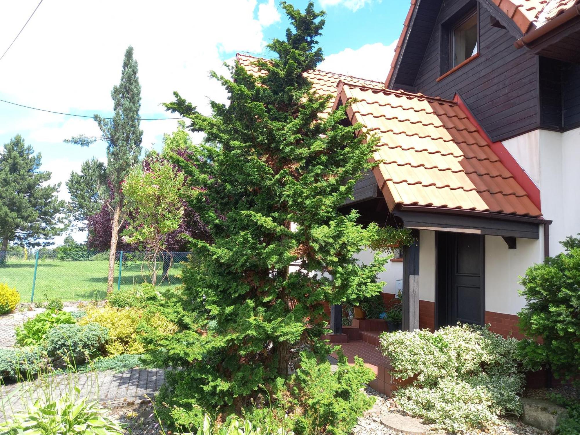 Ferienwohnung Marco Świętoszówka Exterior foto
